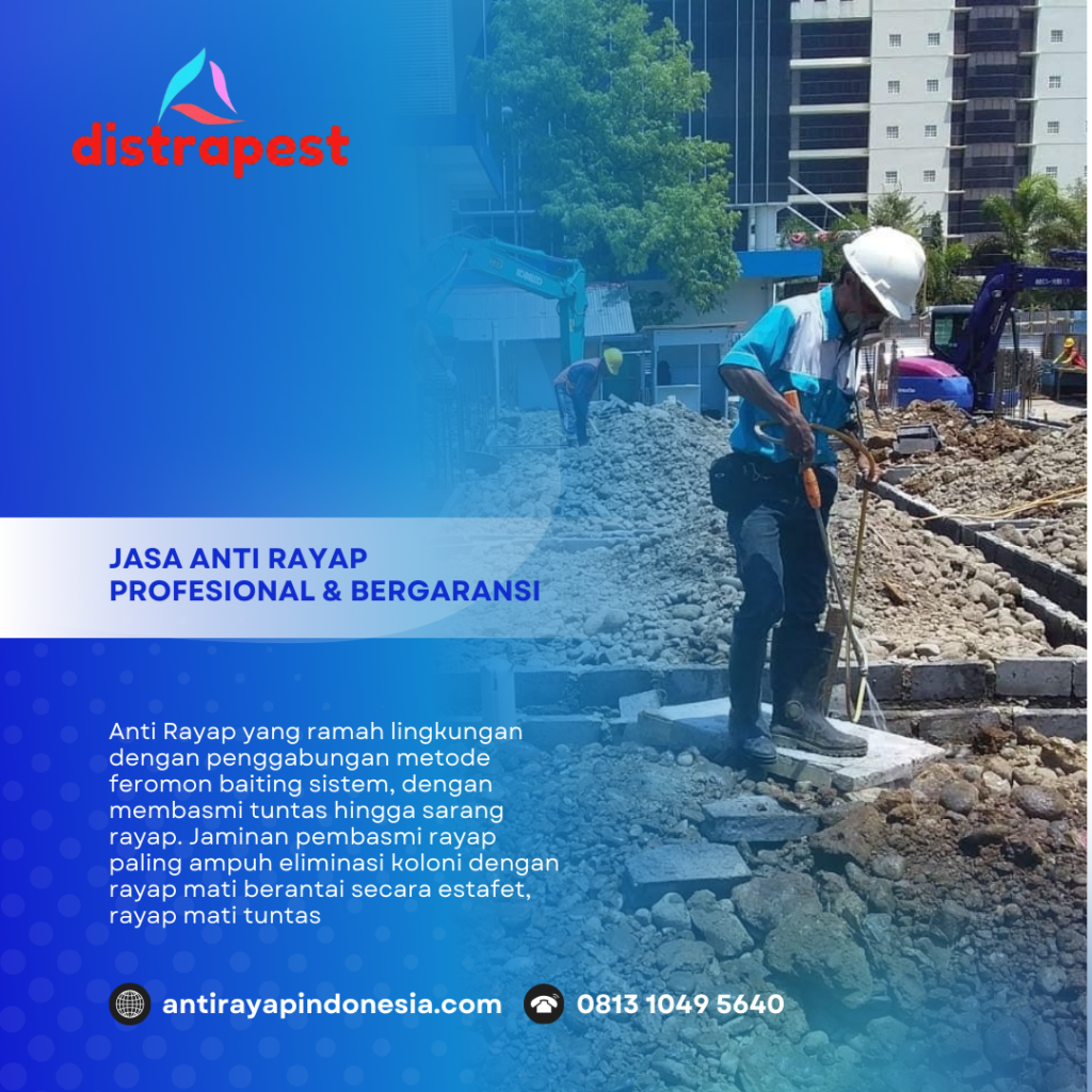 Jasa Pembasmi Rayap di Depok Distra Pest Control