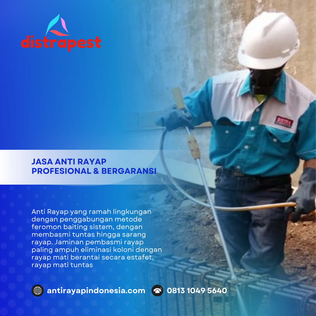 Jasa Anti Rayap Depok Bergaransi 5 Tahun – Basmi Tuntas Sampai Ratu!