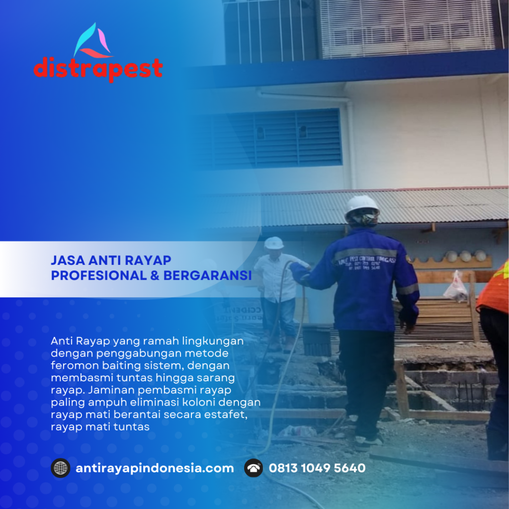 Jasa Anti Rayap Depok Bergaransi 5 Tahun – Basmi Tuntas Sampai Ratu!