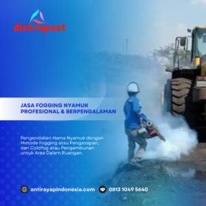 Jasa Fogging Nyamuk Depok Borongan 1 RT Murah